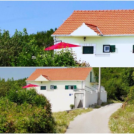 Brstanovo House Lucia 빌라 외부 사진