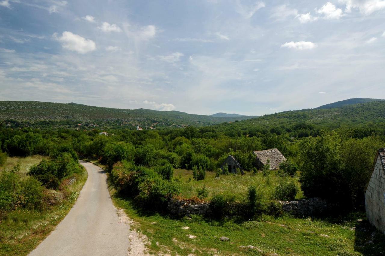 Brstanovo House Lucia 빌라 외부 사진